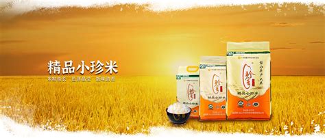 昊王米业有机大米赢得北上广深消费者青睐-宁夏昊王米业集团有限公司