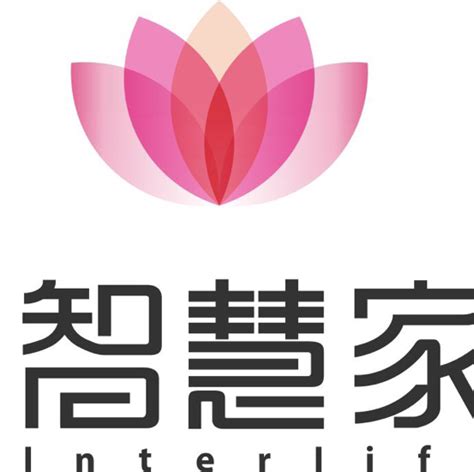 张景 - 湖北福星科技股份有限公司 - 法定代表人/高管/股东 - 爱企查