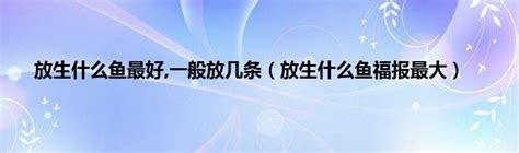 永春县发现并放生国家一级保护动物平胸龟_救助