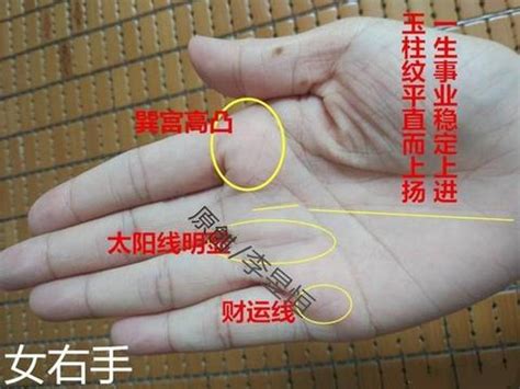 女人手里这条线清晰深长，到达中指根部，富婆命！|手相|玉柱|中指_新浪新闻