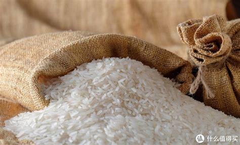 粳米是什么米（粳米的功效与作用）-四得网