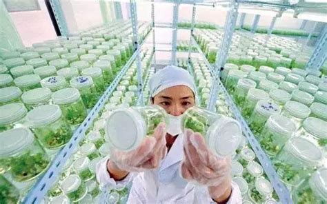 贵州省：分批次培育农产品（食品）深加工高成长性企业 – 69农业规划设计.兆联顾问公司