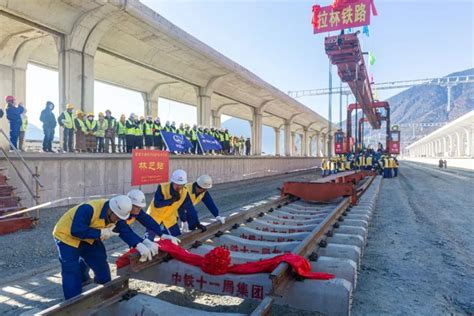 西藏林芝：雪域高原列车穿越花海