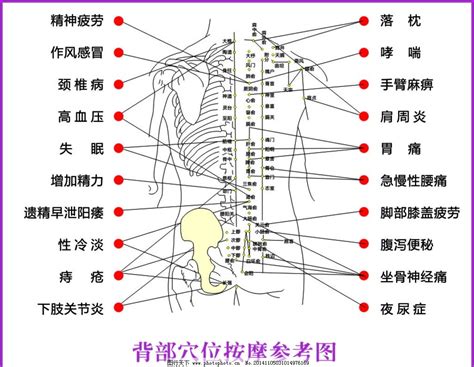 背部经络位置图图片