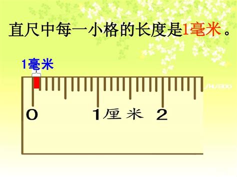 三厘米图片