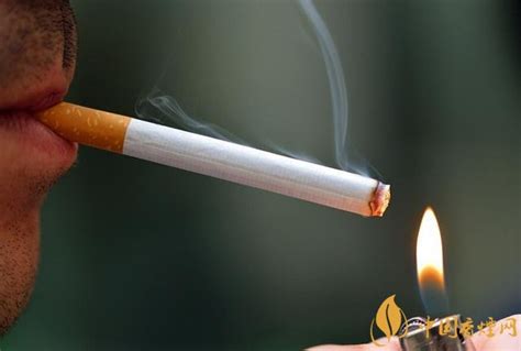 烟草知识_最新烟草行业知识，教你如何鉴别香烟的真假和香烟保质期 - 香烟网