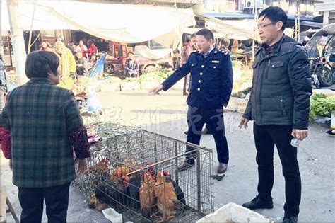 苍南查处首例活禽交易案 当事人被立案调查-新闻中心-温州网