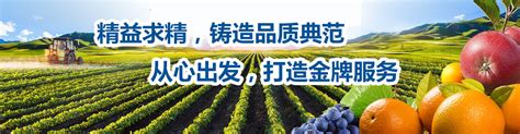 植物生长调节剂三十烷醇乳粉的使用方法与实验--郑州普天农业