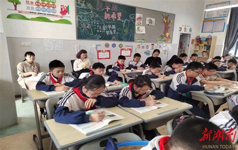 沅江市教育局关于设立11所公办幼儿园的通知