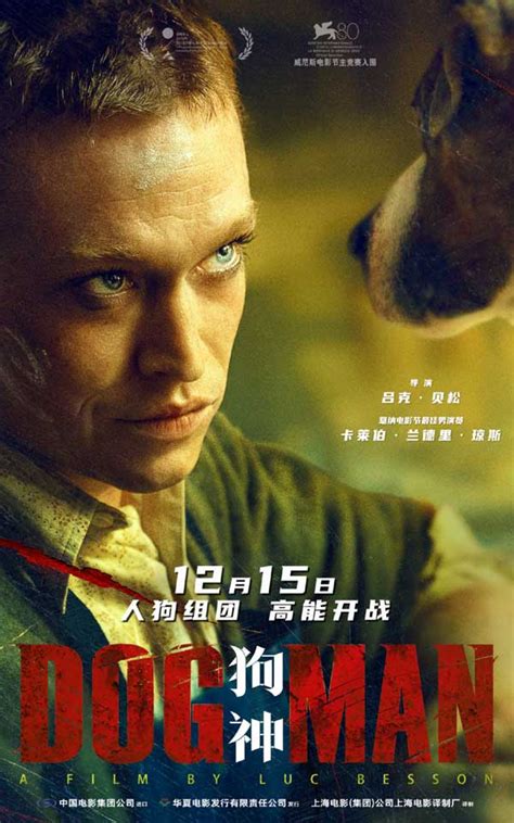 佛兰德斯的狗真人电影之义犬报恩ADg图片
