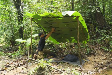 野外生存 在丛林如何搭建一个庇护所