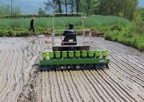 上海：水稻机械化穴直播种植技术等22项成为2022年农业主推 | 农机新闻网