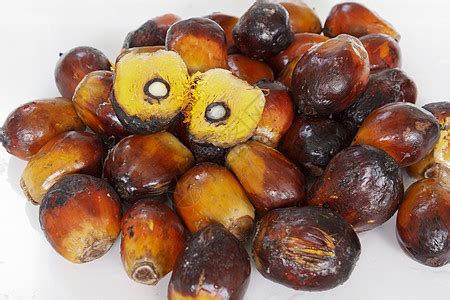 棕榈油种子热带农业水果高清图片下载-正版图片320534313-摄图网