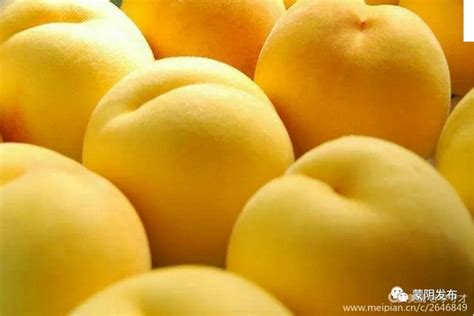 青州冬雪蜜桃,蔬菜水果,食品餐饮,摄影素材,汇图网www.huitu.com