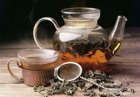 凉茶有哪些种类 简单的凉茶配方_保健茶_绿茶说