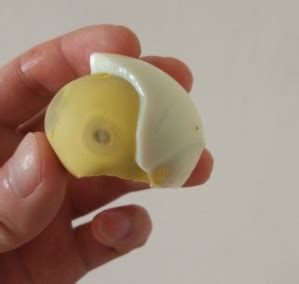 为什么水煮蛋剥皮后会有一个黑点？听完专家的解释，才知原来如此