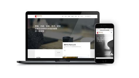 互动开发-上海贝聿网站建设公司