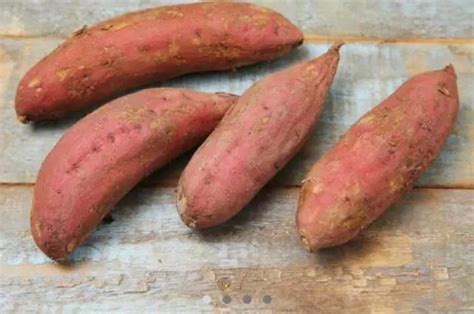 【红薯评测】冬日里的温暖特辑，为你寻找最好吃的烤红薯 - 知乎
