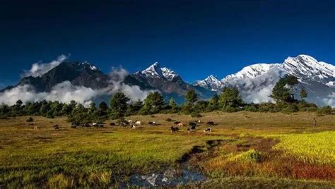 一键解锁西藏最惊艳的四季美景！_荔枝网新闻
