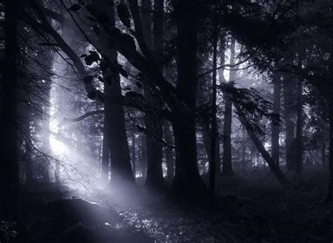 三体Ⅱ：黑暗森林 - 读书 - 张子阳的博客