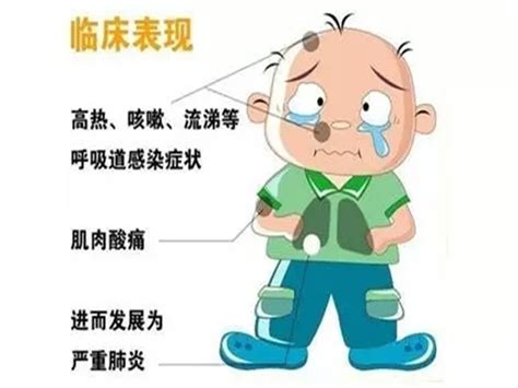 正确认识、积极预防H7N9禽流感 - 北京拔萃双语学校