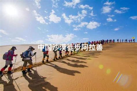 泗阳县中国杨树博物馆团建攻略-有山团建
