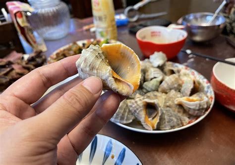 海螺肉丰腴细腻，味道鲜美，好吃到根本停不下来