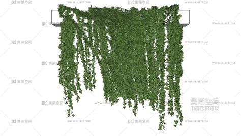 绿植 藤蔓 装饰植物su草图模型下载-【集简空间】「每日更新」