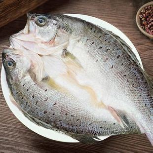 鲈鱼多少钱一斤，2019年鲈鱼价格预估 - 鲜淘网