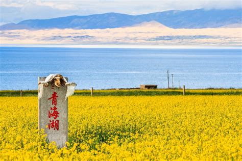 Enjoy stunning scenery along Qinghai Lake