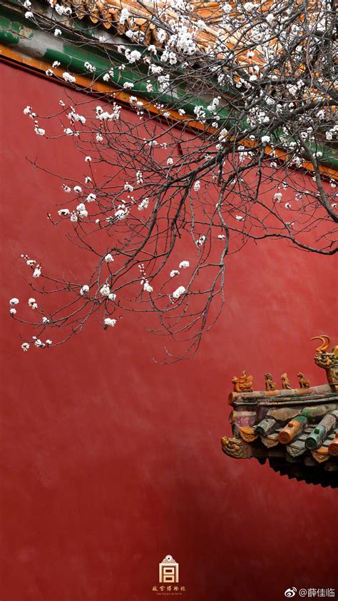 故宫的中国风高清图片下载-正版图片500604250-摄图网