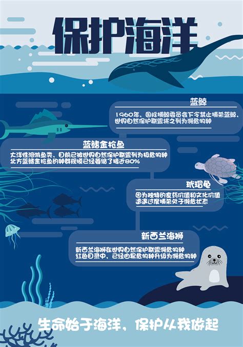 保护海洋|平面|信息图表|王争争努力在努力 - 原创作品 - 站酷 (ZCOOL)