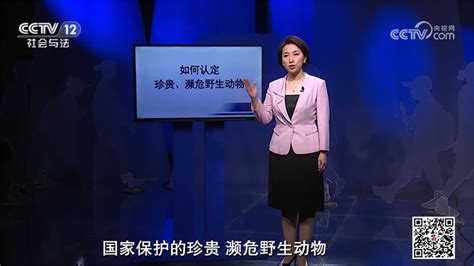 中银律师普法宣讲在中央电视台社会与法频道播出 - 中银律师事务所