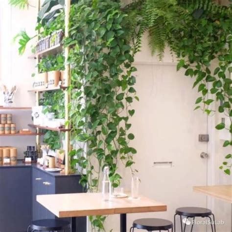 最简单的绿植店名排行,绿植园艺店取名,有关绿植的店铺名字_大山谷图库