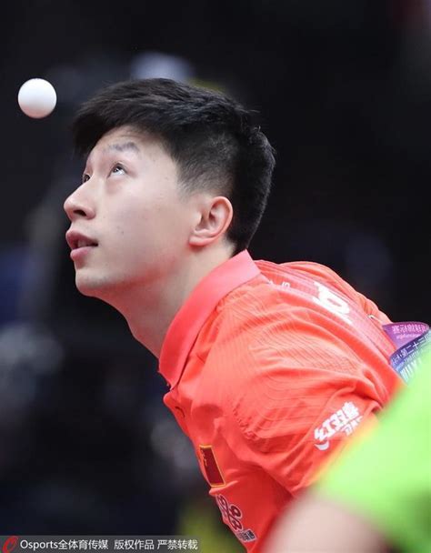 中国男乒3-0台北 将与韩国争夺团体冠军_腾讯网