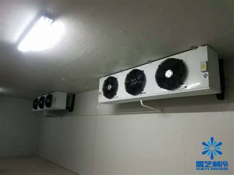 1000立方冷库造价，设计安装多少钱_上海雪艺制冷科技发展有限公司