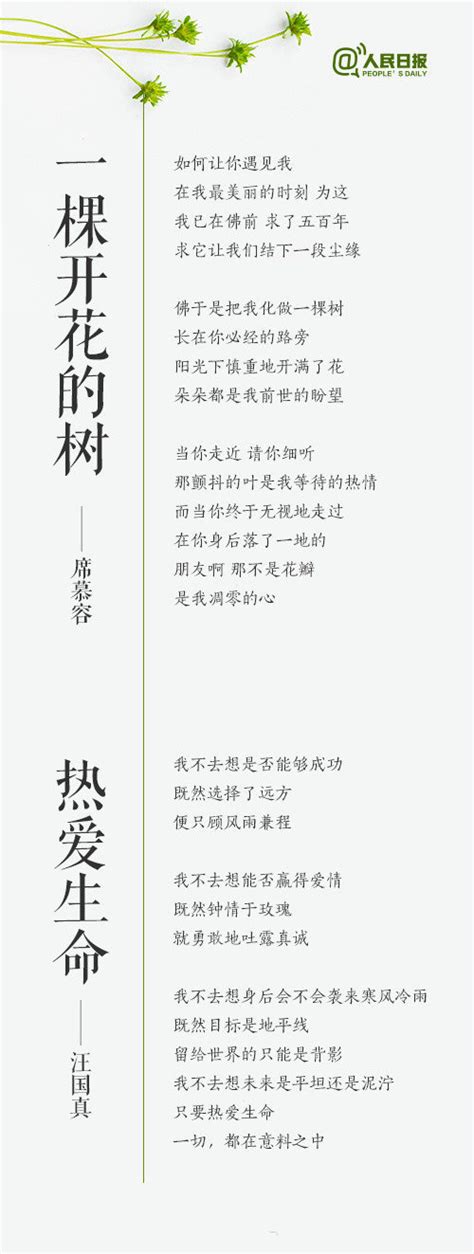 14首经典现代诗，带你重温诗歌之美