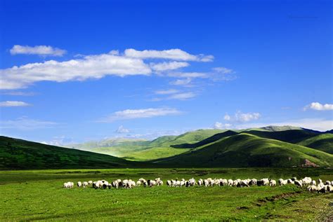 甘南玛曲草原之阿万仓贡赛尔喀木道 - 中国国家地理最美观景拍摄点