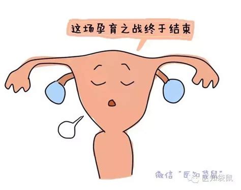 图解这五类女性, 最容易发生宫外孕!|宫外孕|输卵管|女性_新浪新闻