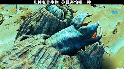 最“恐怖”的未知生物之一，曾被无数人目击，科学却无法解释|未知生物|天蛾|康科德_新浪新闻