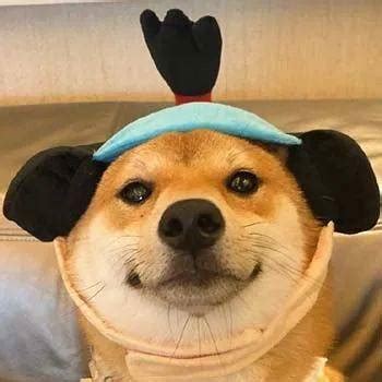 沙雕狗头像图片