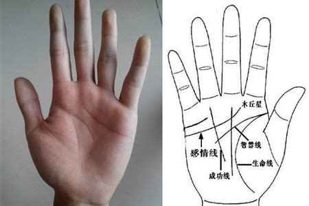男士手相图解左手图片 男士手相图解左手图片
