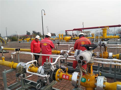 江西省天然气项目-河北比诺企业官网