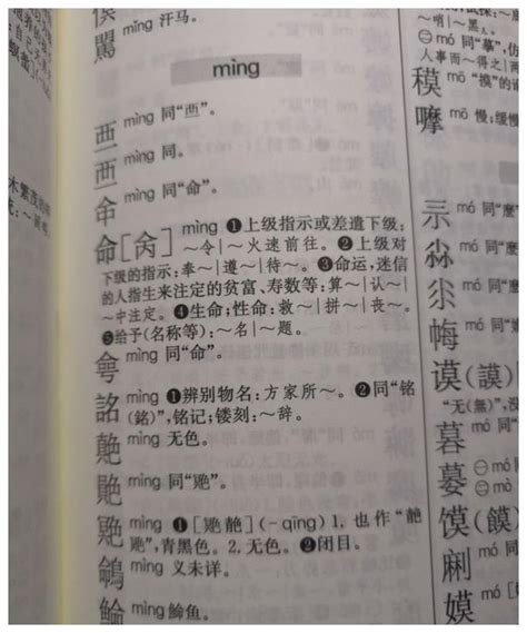 襙的意思,襙的解释,襙的拼音,襙的部首,襙的笔顺-汉语国学
