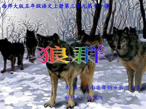 狼群嬉戏玩耍动物PNG图片素材下载_图片编号yzkbemol-免抠素材网