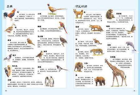各种动物的图片 各种各样动物的图片(4)_配图网