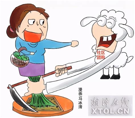 湘潭“社区团购”调查！你“薅到了羊毛”还是被“割了韭菜”？ - 知乎
