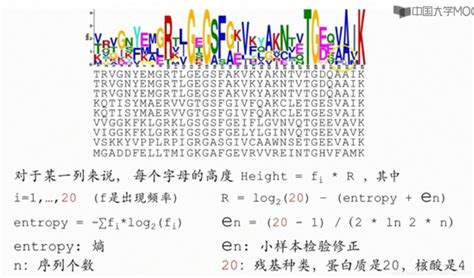 NCBI引物设计、检验引物特异性、检索基因序列、BLAST_primerblast结果怎么看-CSDN博客