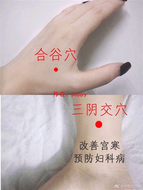 会阴穴位图图片