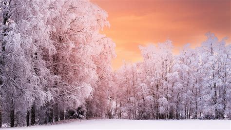 冬季雪景图片素材_免费下载_psd图片格式_VRF高清图片400893902_摄图网